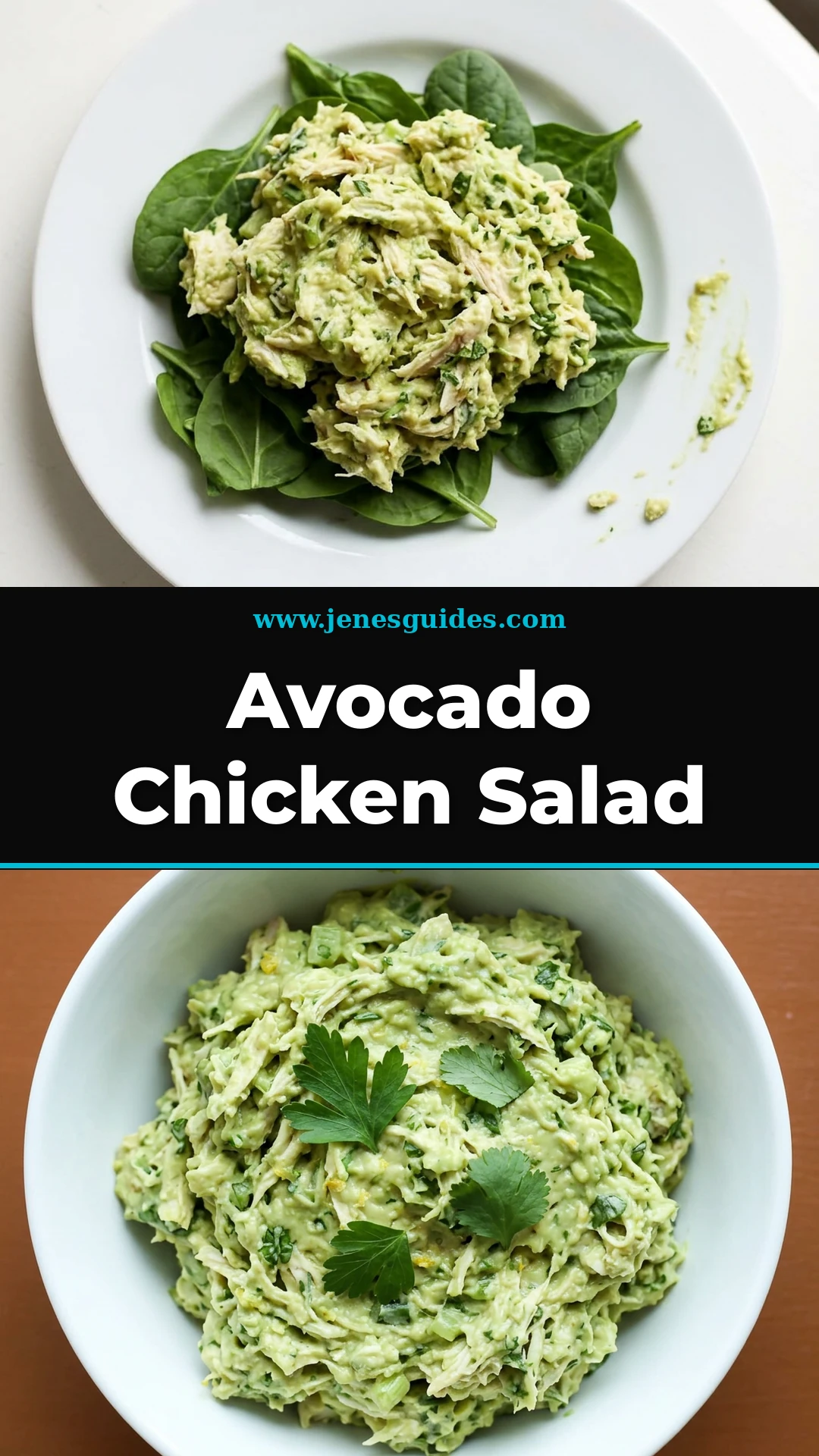 Avocado Chicken Salad recipe Pinterest pin from jenesguides.com